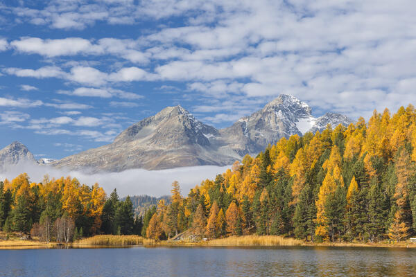 Autumn view on Lej da Staz (Lake of Staz). Celerina/Schlarigna, St Moritz, canton of Graubünden, Engadine, Switzerland, Europe