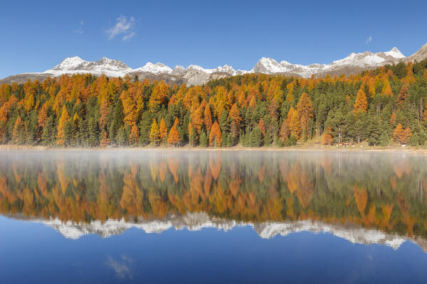 Autumn mirrors on Lej da Staz (Lake of Staz). Celerina/Schlarigna, St Moritz, canton of Graubünden, Engadine, Switzerland, Europe