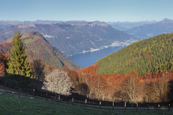 Autumn view of lake Como from Roccolo san Bernardo, Colmegnone mount, Carate Urio, Como province, Lombardy, Italy, Europe
