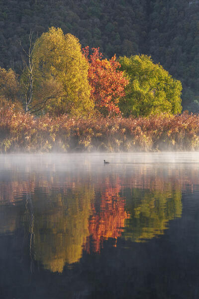 Autumnal reflections on Adda river, Airuno, Brianza, Lecco province, Lombardy, Italy, Europe