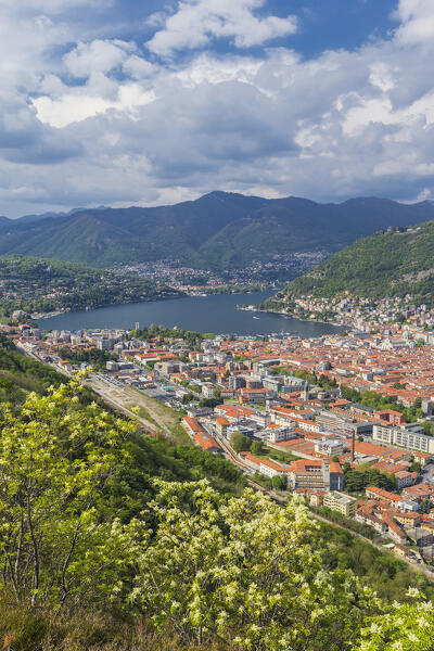 A view of Como city and lake Como from Spina Verde park, Lombardy, Italy, Europe