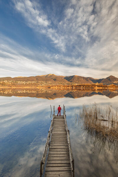 Hiker on the pier looks Alserio lake, Brianza, Parco regionale della Valle del Lambro, Como province, Lombardy, Italy, Europe (MR)