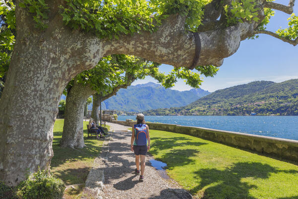 Hiker walks in the Parco Civico Teresio Olivelli park, Tremezzo, Tremezzina, 