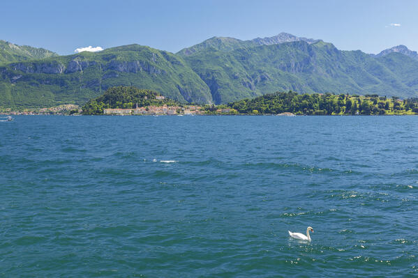 A view of Bellagio Town and lake Como from Griante lake front, 