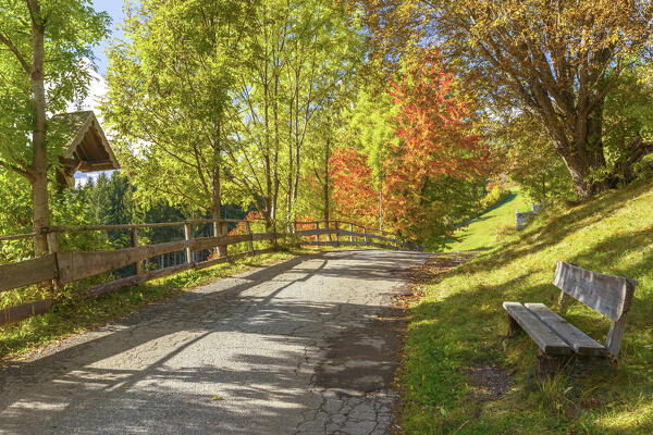 Autumnal road that lead to the St. Giacomo village (San Giacomo), Funes valley, South Tyrol, Trentino Alto Adige, Bolzano province, Italy, Europe