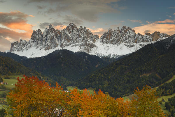 Autumnal trees frame Odle Dolomites in a sunset, Funes valley, South Tyrol, Trentino Alto Adige, Bolzano province, Italy, Europe