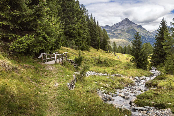 A summer view of San Sisto, Campodolcino, Spluga valley, Sondrio province, Lombardy, Italy, Europe