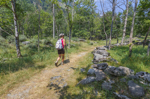 A trekker walking on the Via Spluga path from Vho village of San Giacomo Filippo to Campodolcino, Chiavenna valley, Sondrio province, Lombardy, Italy, Europe (MR)