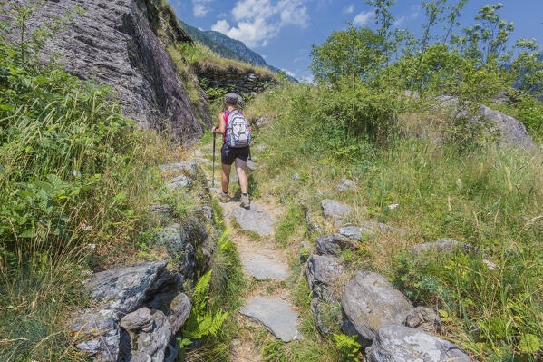 A trekker walking on the ancient Via Spluga path to reach Campodolcino, Spluga valley, Sondrio province, Lombardy, Italy, Europe (MR)