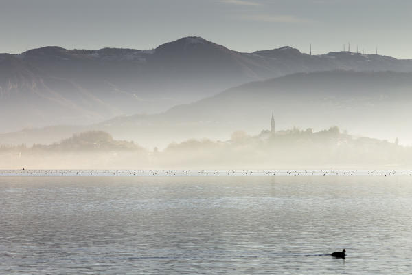 Fog on lake Pusiano, Bosisio, Lecco province, Brianza, Lombardy, Italy, Europe