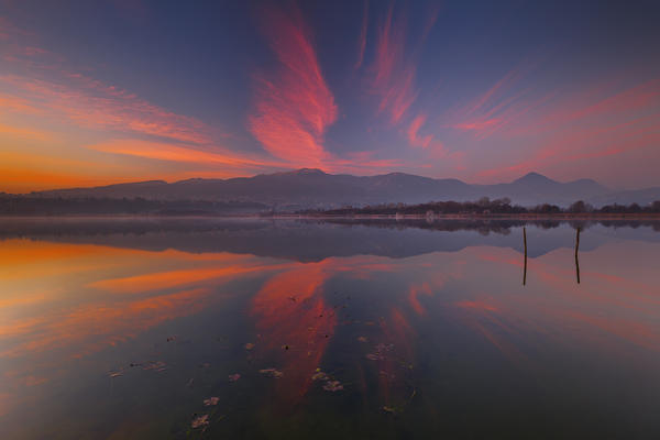 Sunset on lake Alserio, Alserio, Como province, Brianza, Lombardy, Italy, Europe