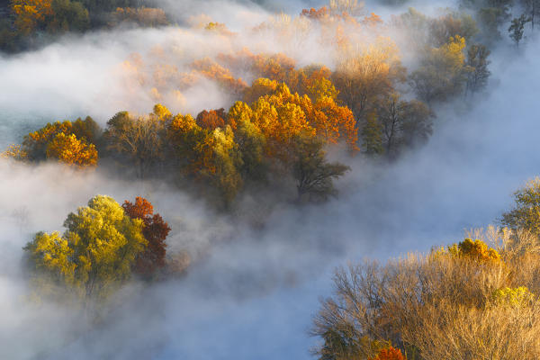 The mists of Adda river, Airuno, Adda Nord park, Lecco province, Brianza, Lombardy, Italy, Europe