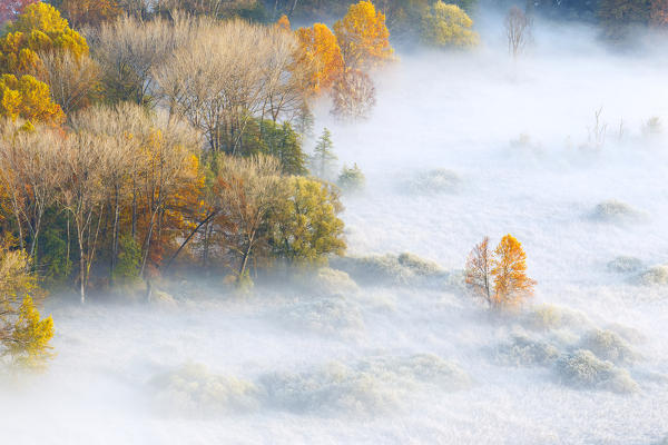 The mists of Adda river, Airuno, park Adda Nord, Lecco province, Brianza, Lombardy, Italy, Europe