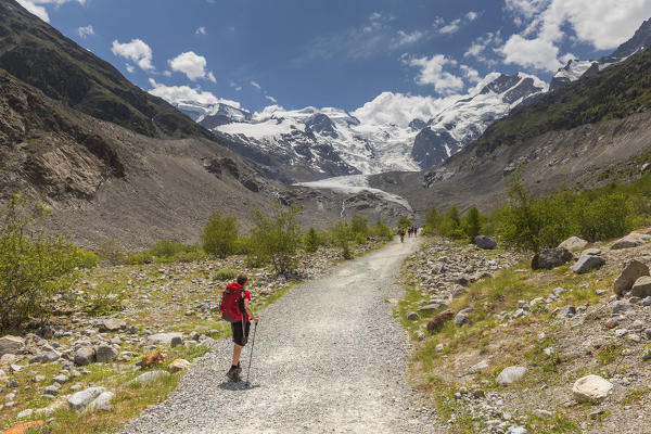 Hiker admire Morteratsch glacier, Bernina group, Morteratsch valley, Engadine, Switzerland, Europe (MR)