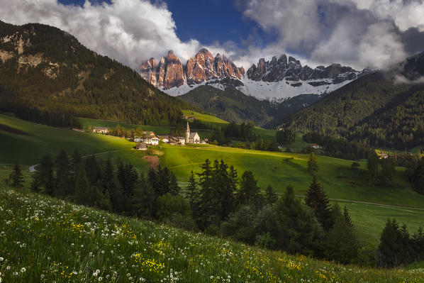 Spring time at Santa Magdalena, Funes valley, Odle dolomites, South Tyrol region, Trentino Alto Adige, Bolzano province, Italy, Europe