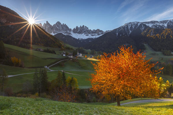 Autumn time at Santa Magdalena, Funes valley, Odle dolomites, South Tyrol region, Trentino Alto Adige, Bolzano province, Italy, Europe