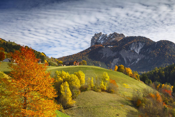 Autumn hills of San Pietro, Odle of Eores dolomites, Funes valley, South Tyrol region, Trentino Alto Adige, Bolzano province, Italy, Europe