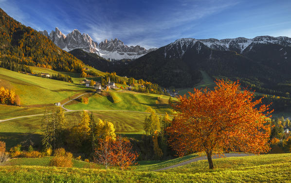 Autumn at the village of Santa Magdalena, Funes valley, Odle dolomites, South Tyrol region, Trentino Alto Adige, Bolzano province, Italy, Europe