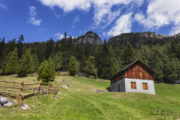 A view of The Nature Path of Zannes, park Puez, Funes valley, Bolzano province, South Tyrol region, Trentino Alto Adige, Italy, Europe