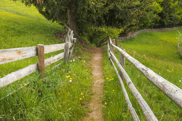 A Path with fence, Funes valley, Bolzano province, South Tyrol region, Trentino Alto Adige, Italy, Europe