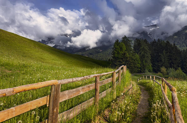 A Path with fence, Funes valley, Bolzano province, South Tyrol region, Trentino Alto Adige, Italy, Europe