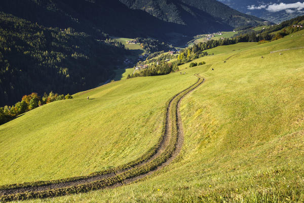 Farmer's track, Coll, Santa Magdalena, Funes valley, South Tyrol region, Trentino Alto Adige, Bolzano province, Italy, Europe