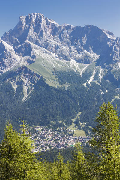 Trees and Dolomite mountains frame San Martino di Castrozza, Trento province, Trentino Alto Adige, Italy, Europe