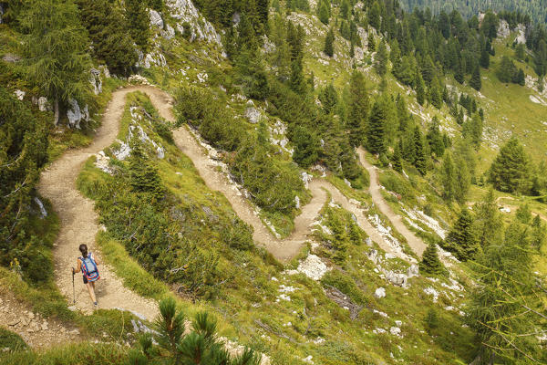 Hiker walks on the track of Castellazzo mount, Rolle Pass, Trento province, Trentino Alto Adige, Italy, Europe (MR)