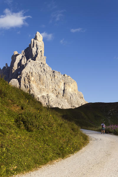 Hiker walks on the track, sunset on Cimon della Pala, Pale di San Martino Dolomites, Rolle Pass, Trento province, Trentino Alto Adige, Italy, Europe (MR)
