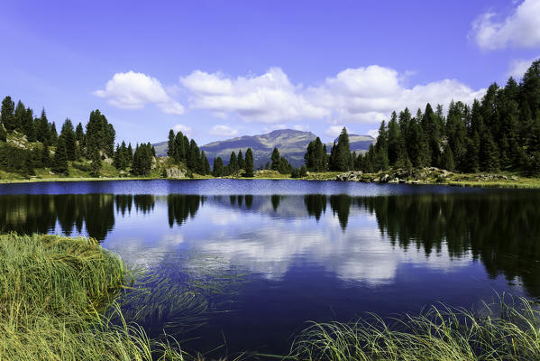 Lake Colbricon, Parco Naturale Paneveggio-Pale di San Martino, Trento province, Trentino Alto Adige, Italy, Europe 