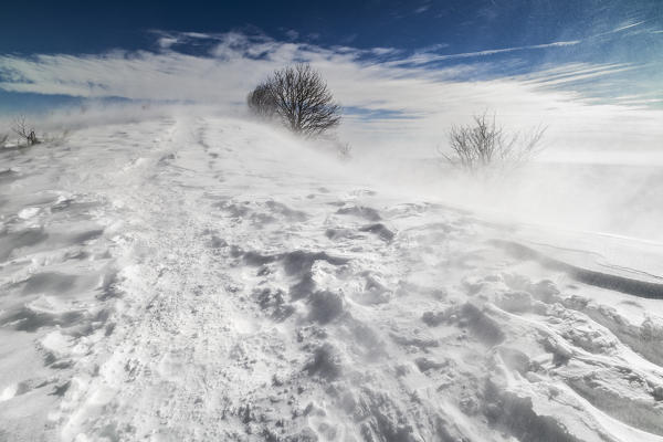 Strong wind on Palanzone mount, Como province, Lombardy, Italy, Europe