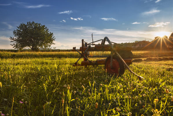 A plow in the field at sunset, Como province, Lombardy, Italy, Europe