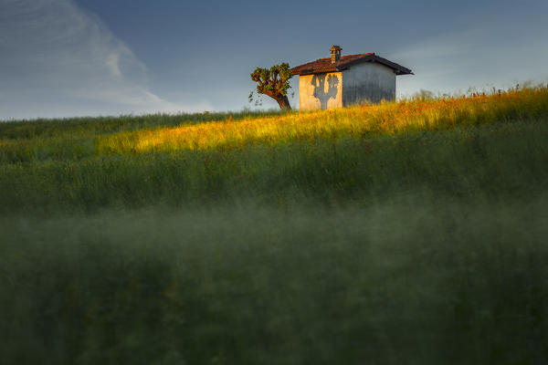 Awakening of fields with light spot on a cottage, Como province, Lombardy, Italy, Europe