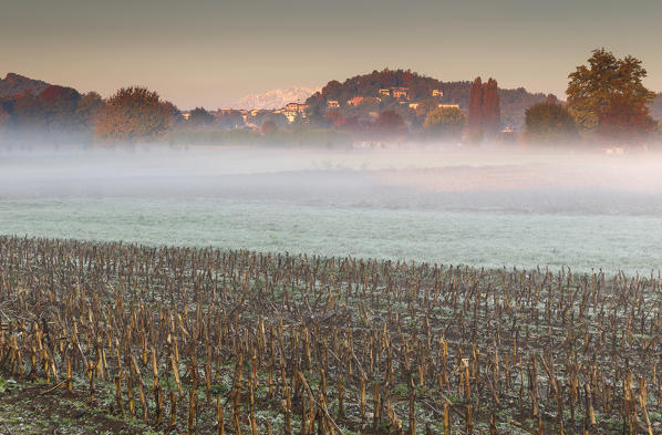 Autumn sunrise in a campaign, Como province, Lombardy, Italy, Europe