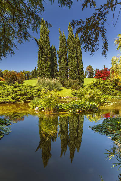 Summer reflection in a ponds of Parco giardino Sigurtà, Valeggio sul Mincio, Verona province, Veneto, Italy, Europe