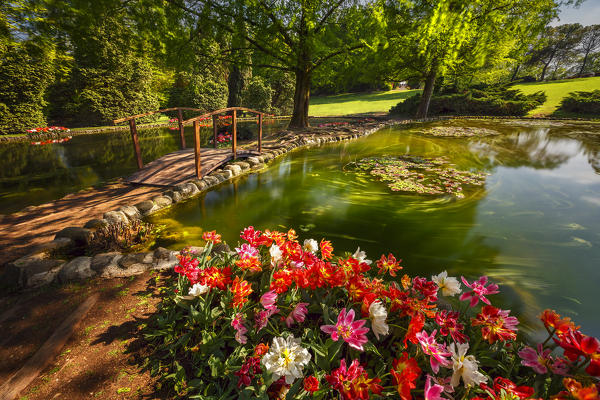 A view of Parco giardino Sigurtà with his Tulips blooming, Valeggio sul Mincio, Verona province, Veneto, Italy, Europe
