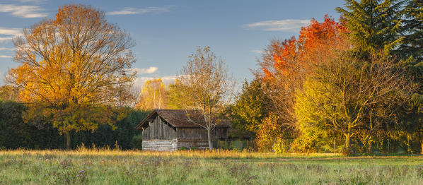 Autumn in a countryside, Como province, Lombardy, Italy, Europe