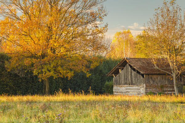 Autumn in a countryside, Como province, Lombardy, Italy, Europe