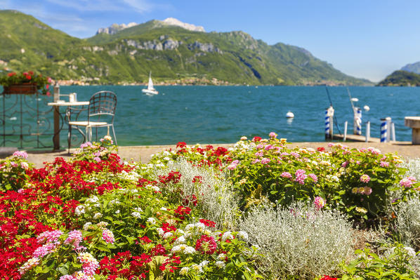 Flowers frame a corner of lake Como where you can take relax, Menaggio, Como province, Lombardy, Italy, Europe