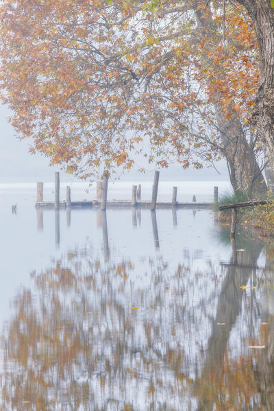 Autumn morning on Lago di Piano, Val Menaggio, Como province, Lombardy, Italy, Europe
