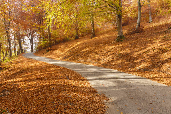 Autumn road, Intelvi valley, Como province, Lombardy, Italy, Europe