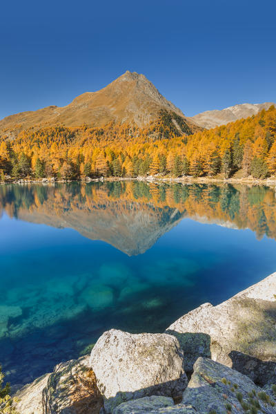 Autumn reflections on lake Saoseo, Poschiavo, val di Campo, Canton of Graubunden, Switzerland, Europe