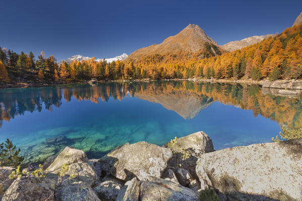 Autumn reflections on lake Saoseo, Poschiavo, val di Campo, Canton of Graubunden, Switzerland, Europe