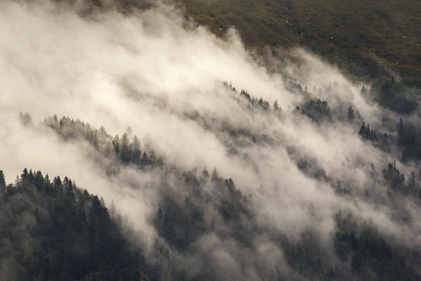 Clouds wrap trees, Spluga valley, Campodolcino, Sondrio province, Lombardy, Italy, Europe