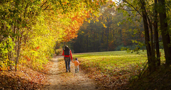 Mom with her daughter walks in a autumn woods, Como province, Lombardy, Italy, Europe (MR)