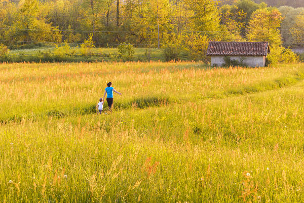 Mom with her daughter run on Pomelasca meadows, Inverigo, Como province, Brianza, Lombardy, Italy, Europe (MR)