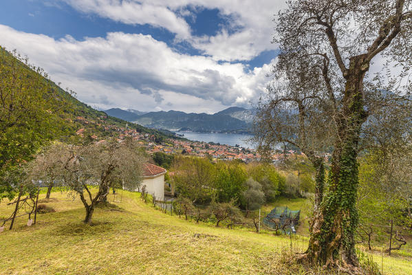 Ossuccio, lake Como, Como province, Lombardy, Italy, Europe