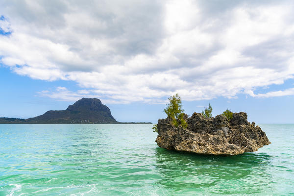 Crystal rock, Le Morne Brabant Peninsula, Black River (Riviere Noire), Mauritius, Africa