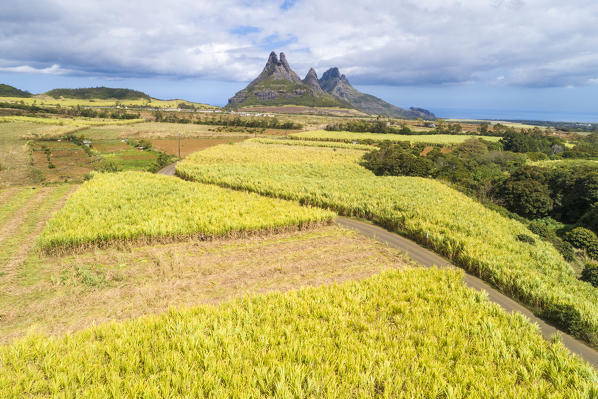Aerial view of sugarcanes plantations with Rempart mountain and Trois mamelles mountain. Tamarin, Black River (Riviere Noire), West coast, Mauritius, Africa