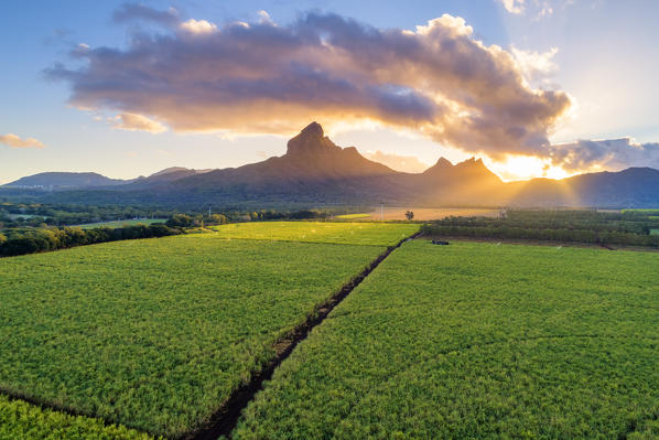 Aerial view of sugarcanes plantations with Rempart mountain and Trois mamelles mountain during the sunrise. Tamarin, Black River (Riviere Noire), West coast, Mauritius, Africa